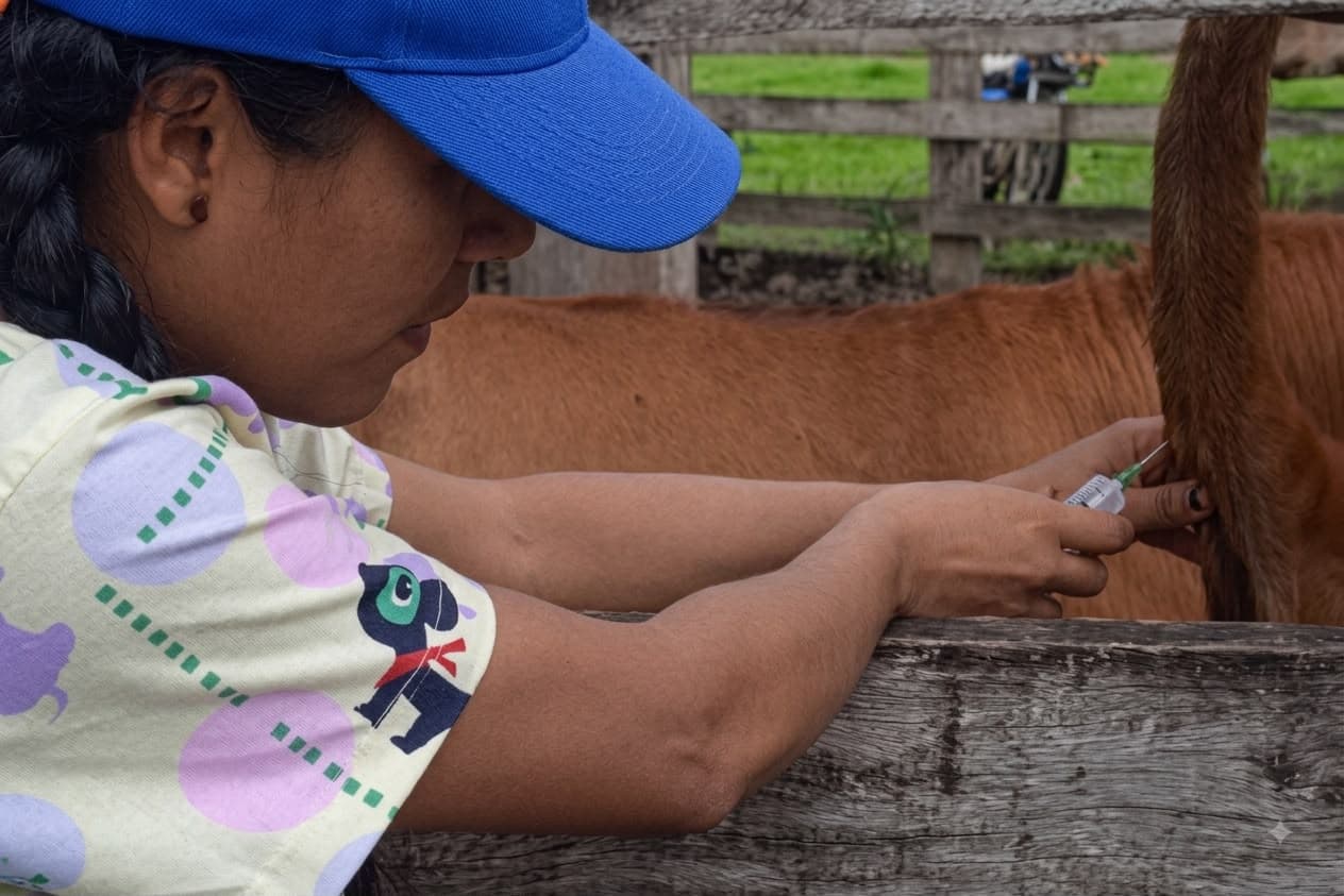 La veterinaria examinando un equino en el corral de una finca